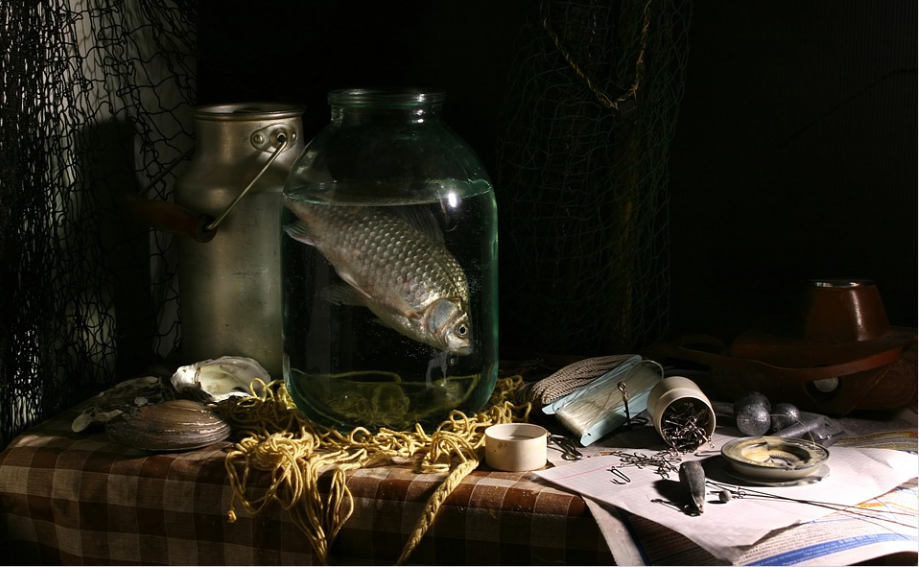 Fish Stock